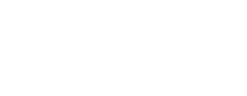 Landing Your Idea